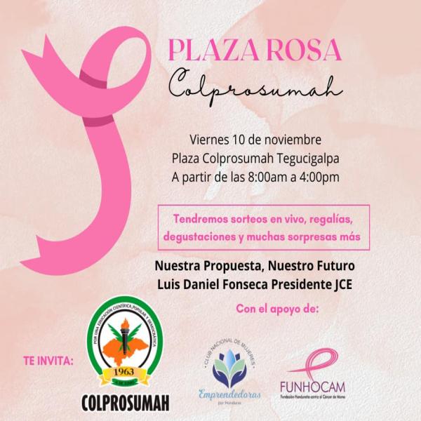 Plaza Rosa en el COLPROSUMAH
