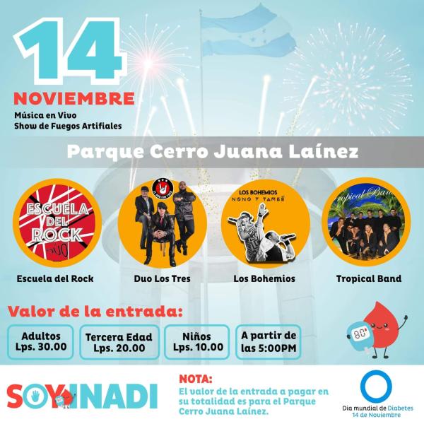 INAMI: Música en vivo y Show de fuegos artificiales en e Parque Cerro Juana Laínez 
