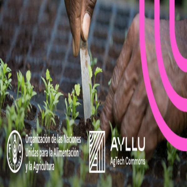 Nuevo curso gratuito: Cinco pasos para construir un emprendimiento regenerativo