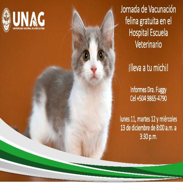 Jornada de Vacunación felina gratuita