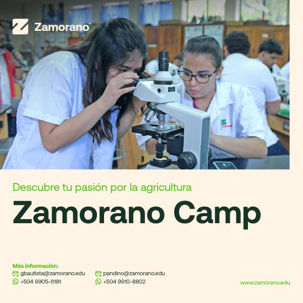 Zamorano Camp 