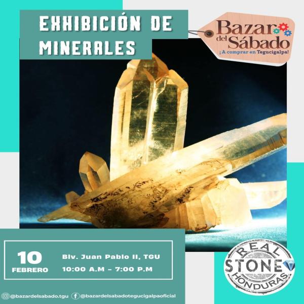 Exhibición de Minerales 