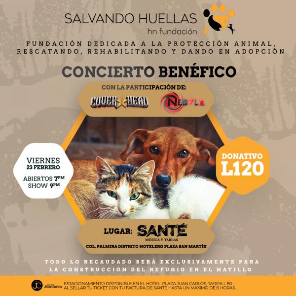 Viernes de rock para apoyar la construcción del refugio de la Fundación Salvando Huellas