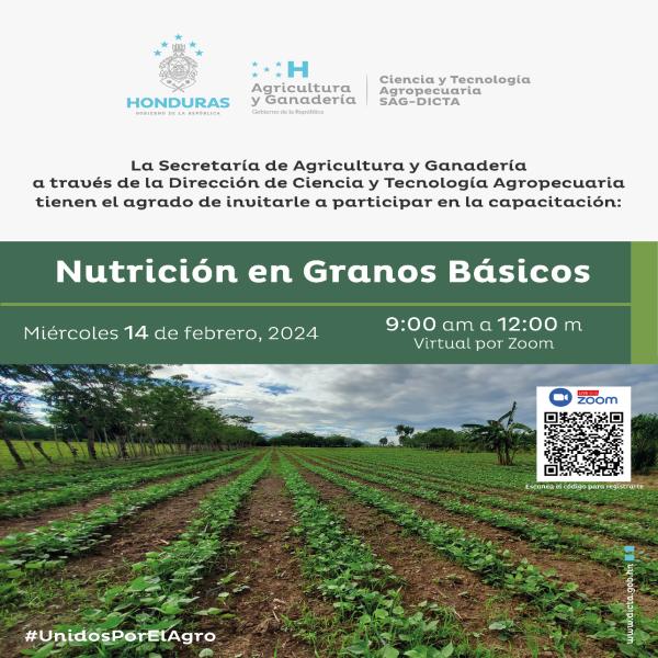 Capacitación virtual sobre “Nutrición en Granos Básicos”