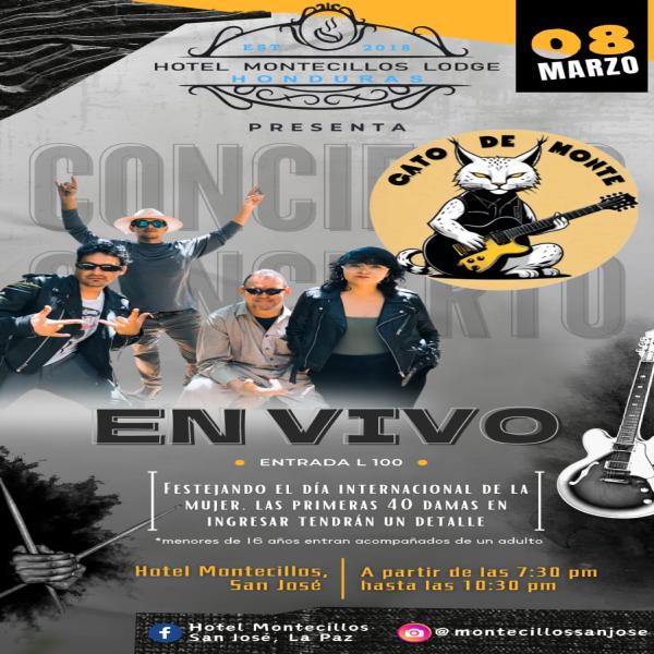Concierto: Gato de Monte 