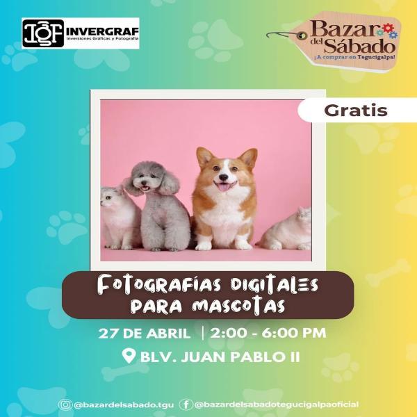 Día especial para las mascotas y los aficionados por los mustangs