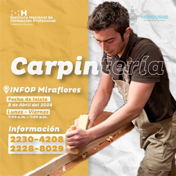 ¿Quieres ser un excelente carpintero y tener tu propio taller?