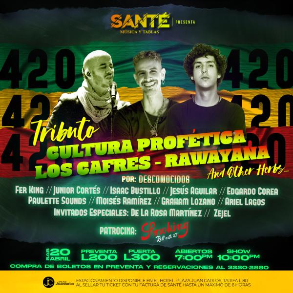 Celebremos la vibrante esencia del Reggae Latino 
