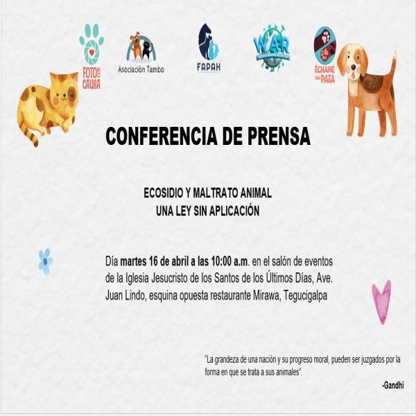 Ecocidio