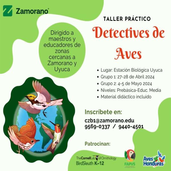 Taller práctico: Detective de Aves 