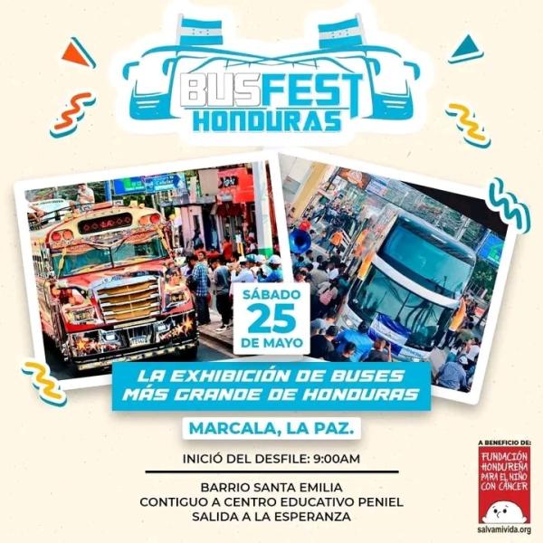Bus Fest 2024