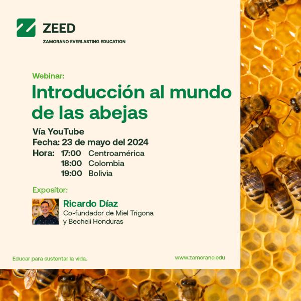 Webinar; Introducción al mundo de las abejas 