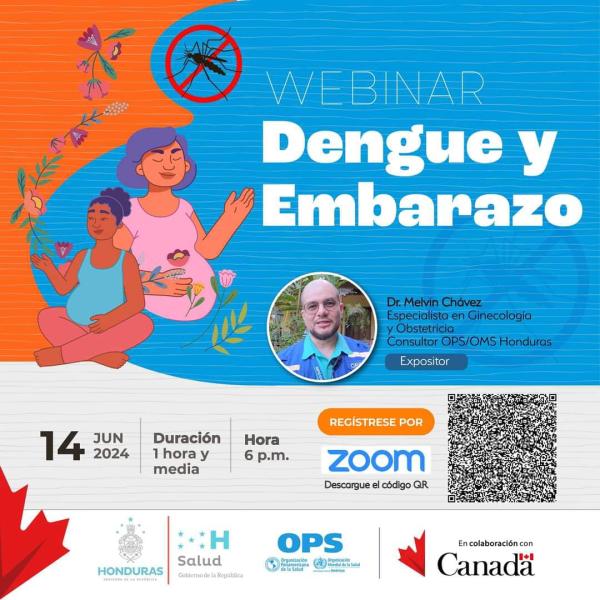  Webinar sobre Dengue y Embarazo