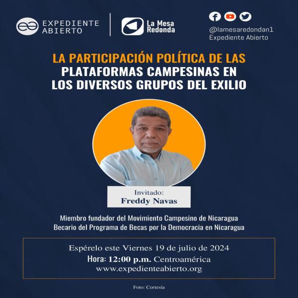 ¿Cómo es la participación política de las plataformas campesinas en los grupos del exilio nicaragüense?