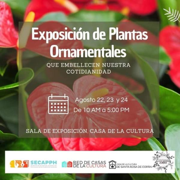 Exposición de Plantas Ornamentales que embellecen nuestra cotidianidad