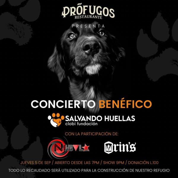 Concierto Benéfico “Salvando Huellas” 