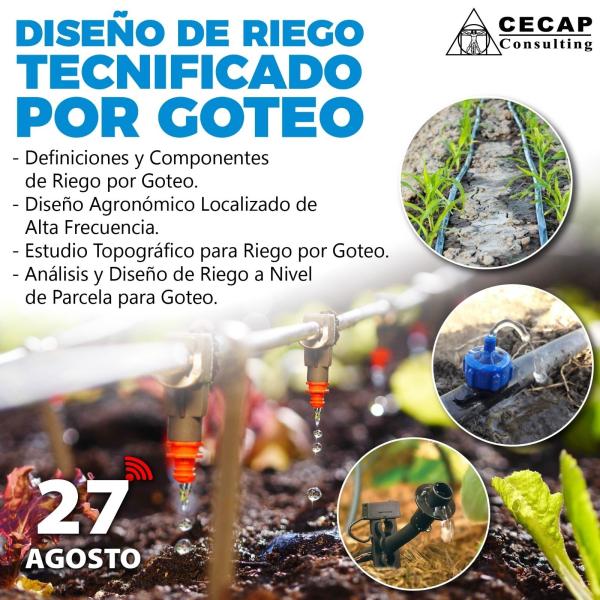 Taller virtual internacional diseño de riego tecnificado por goteo