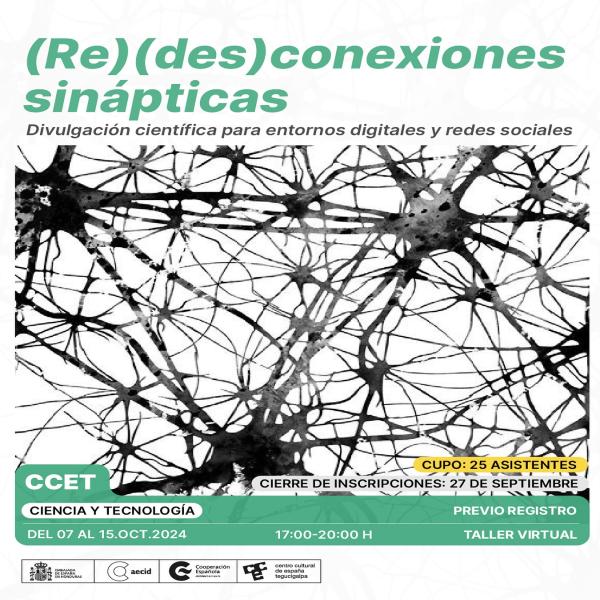 Taller Virtual: (Re) (des)conexiones sinápticas 