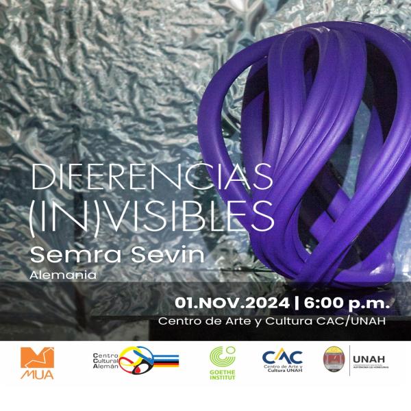 Inauguración de la exposición: Diferencias (IN)Visibles 