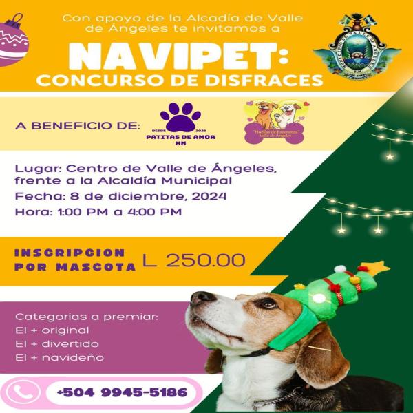 Primer Concurso de Disfraces NAVIPET