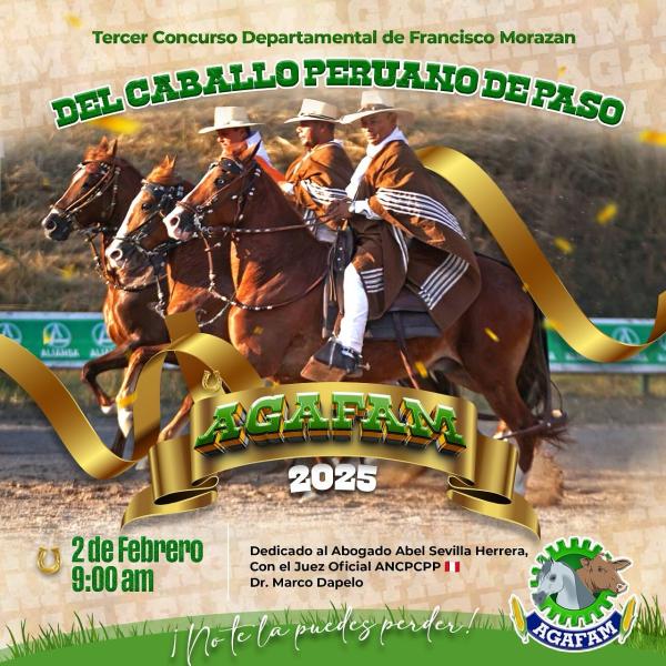 Competencia de Caballo Peruano de Paso