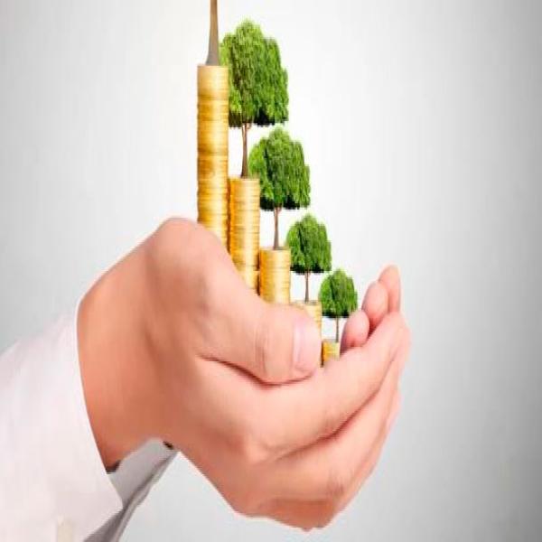 Webinar gratuito: De la vulnerabilidad a la sostenibilidad organizacional