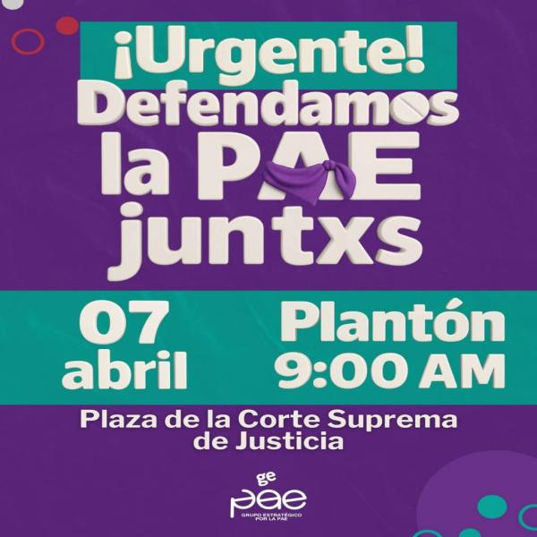 Plantón: alzamos nuestras voces para defender el acceso a la PAE 