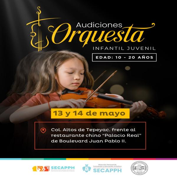 Convocatoria Abierta para las Audiciones de la Orquesta Infantil Juvenil 