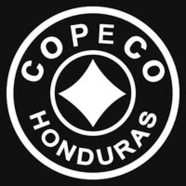 COPECO: Reunión de Coordinación Operativa de SINAGER 