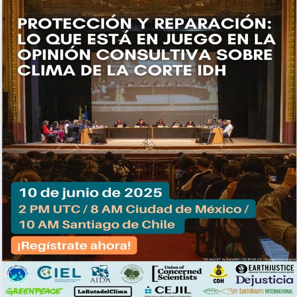 Protección y Reparación: Lo que está en juego en la opinión consultiva sobre clima de la Corte IDH 