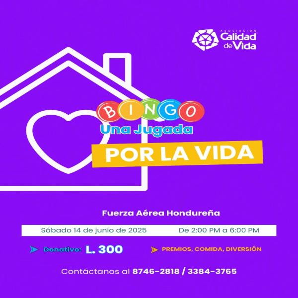 Bingo: Una jugada por la vida 