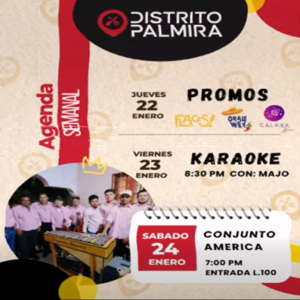 Agenda Semanal Distrito Palmira 