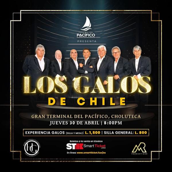 Los Galos de Chile en Choluteca 