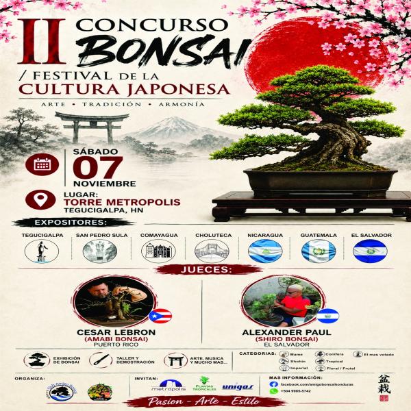 II Concurso de Bonsai – Festival de la Cultura Japonesa 